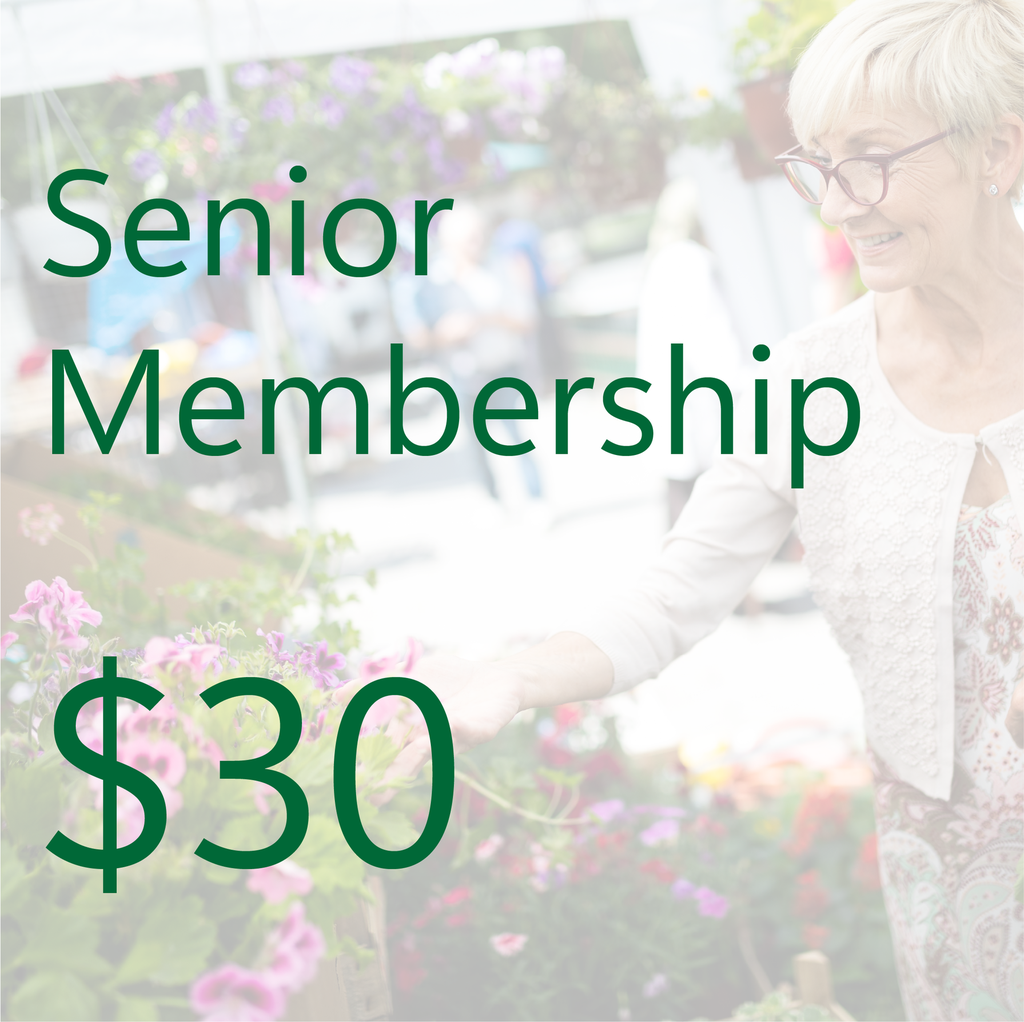 Senior Membership (65 years and older)