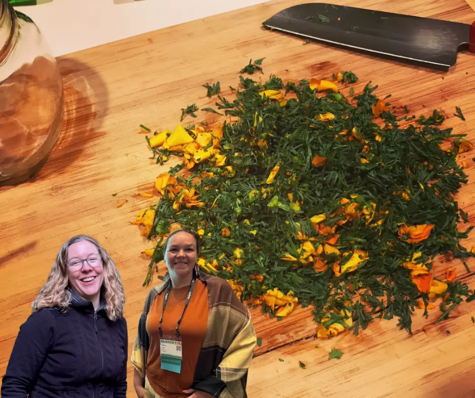 Garden to Wilderness Herbalism Harvesting