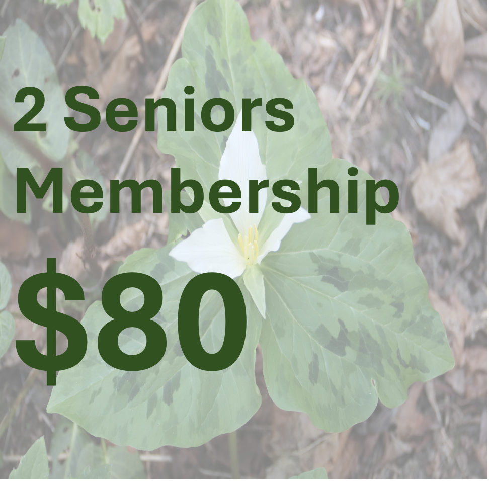 2 Seniors Membership