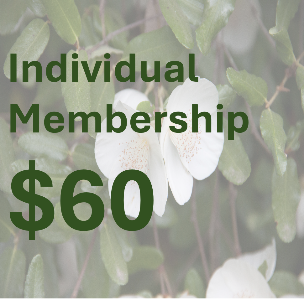 Individual Membership