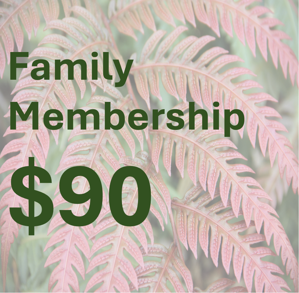 Family Membership