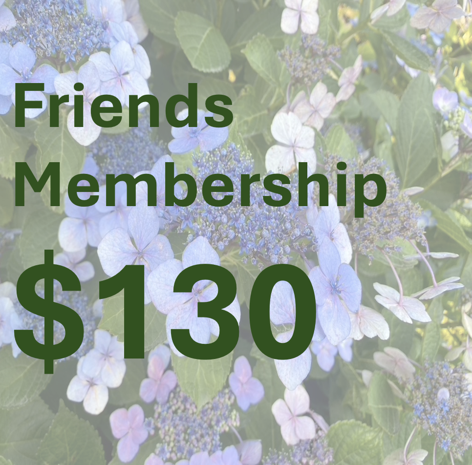 Friends Membership