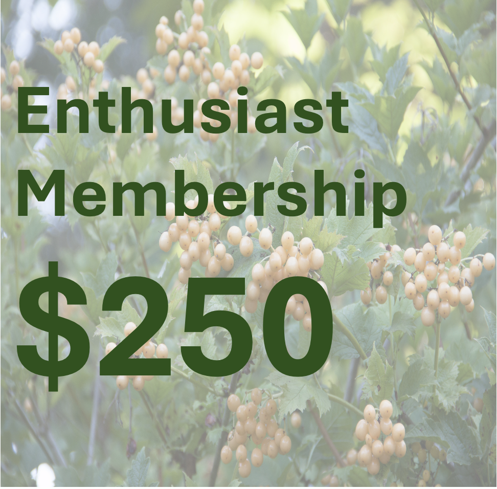 Enthusiast Membership