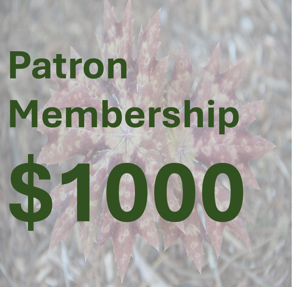 Patron Membership