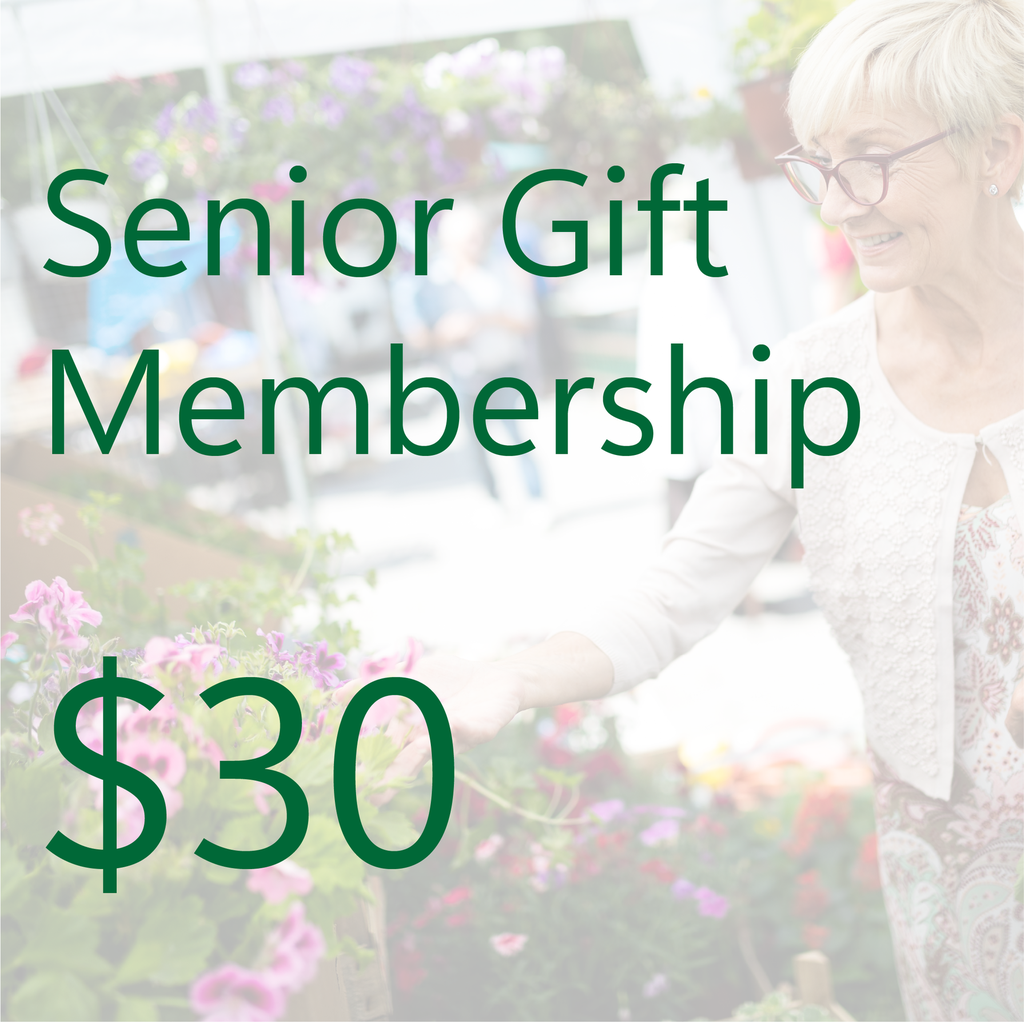Senior Membership - Gift