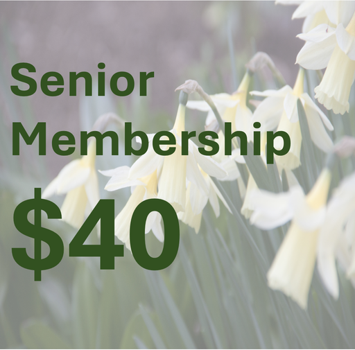 [SNR1] Senior Membership (65 years and older)