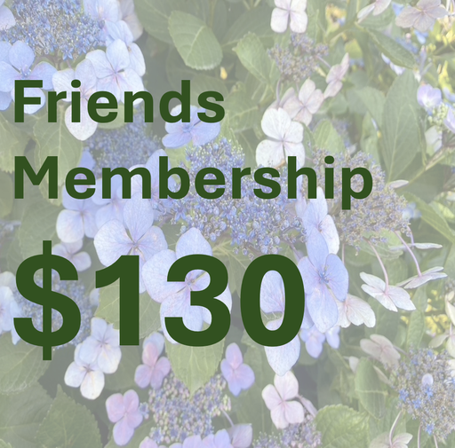 [FRIE2+1] Friends Membership