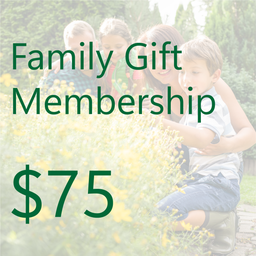 [GFAM2+4KIDS] Family Membership - Gift