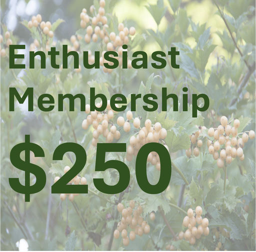 [ENT2+2] Enthusiast Membership