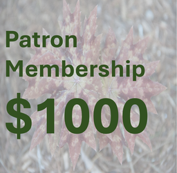 [PAT2+4] Patron Membership